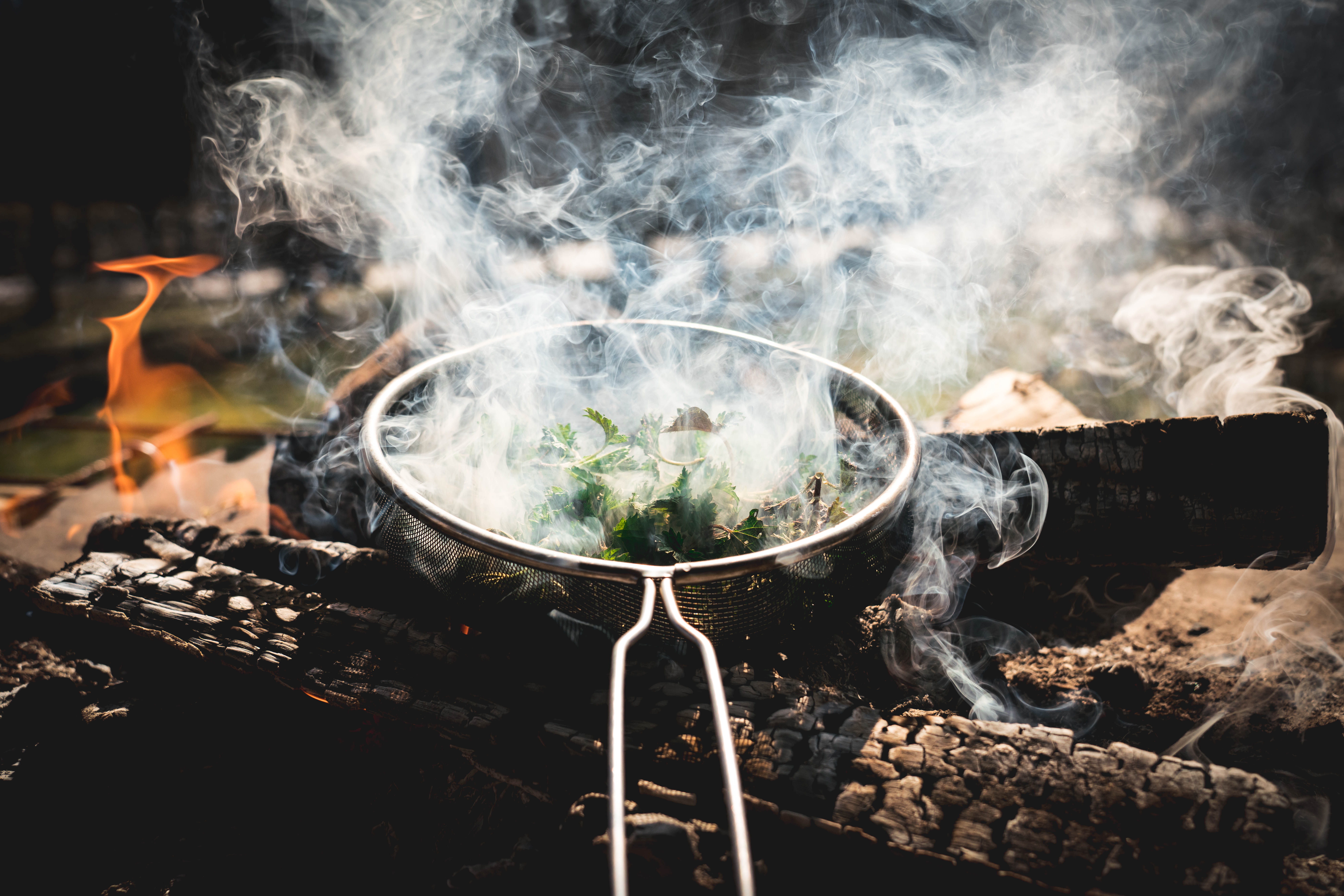 Metal pan on a wood fire creates smokes in the air.