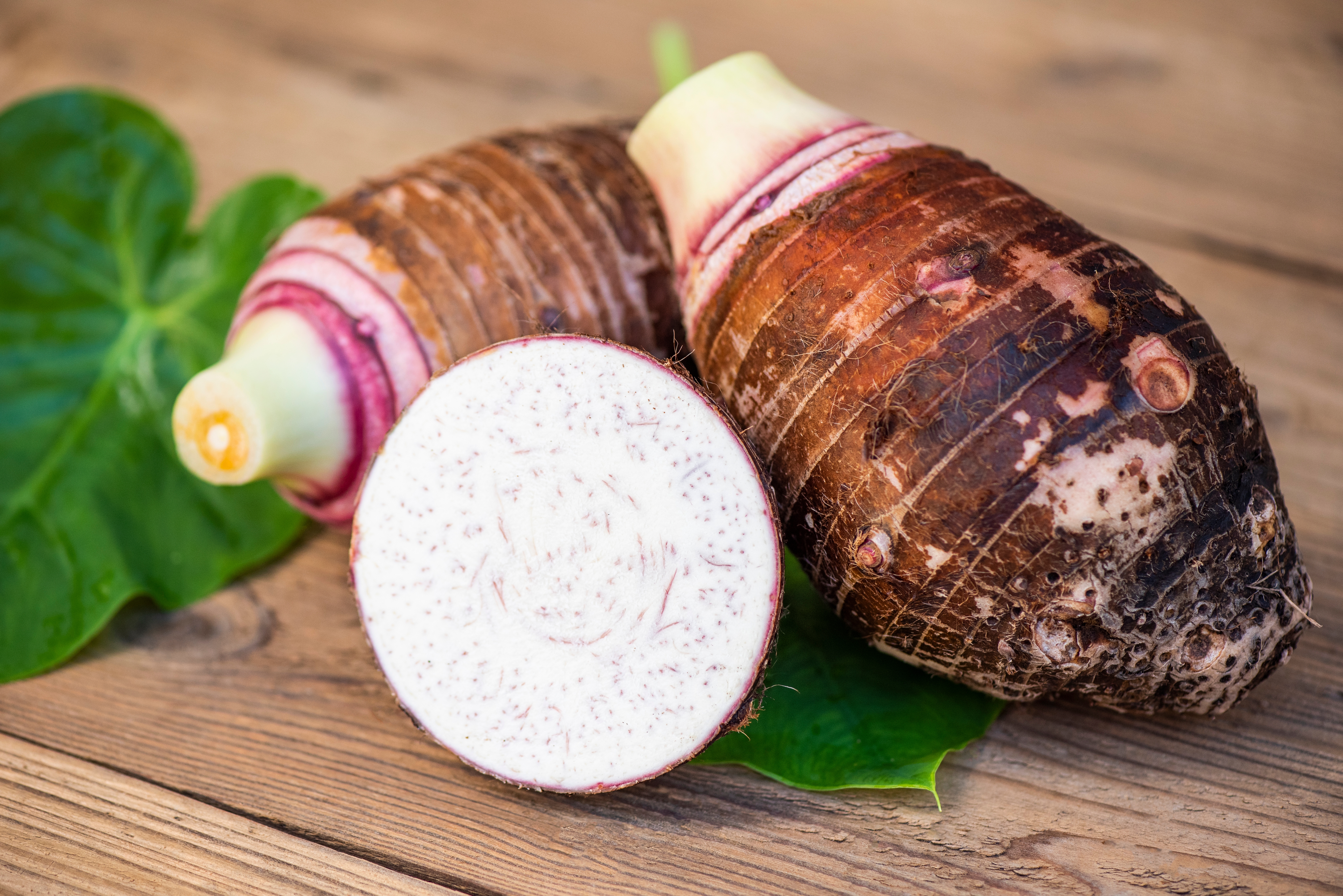 Three taro corms rest on a wooden table with their vibrant green leaves behind them.